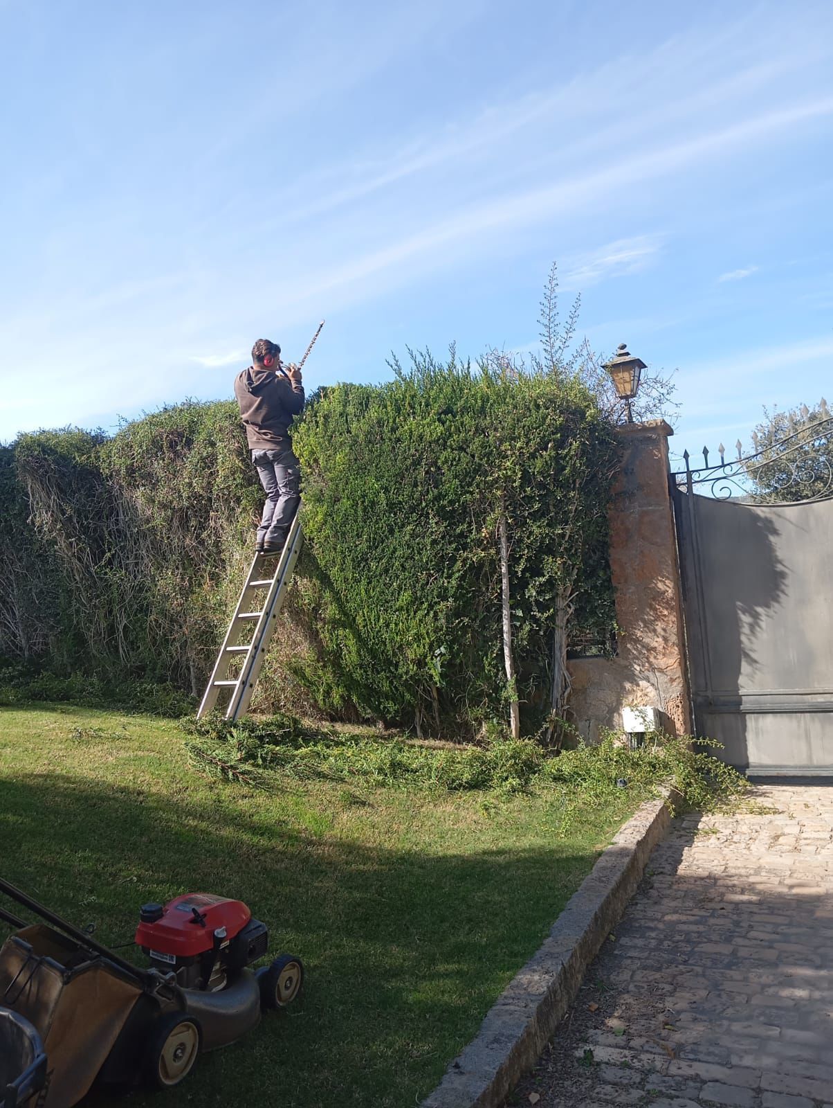 Mantenimiento de jardines