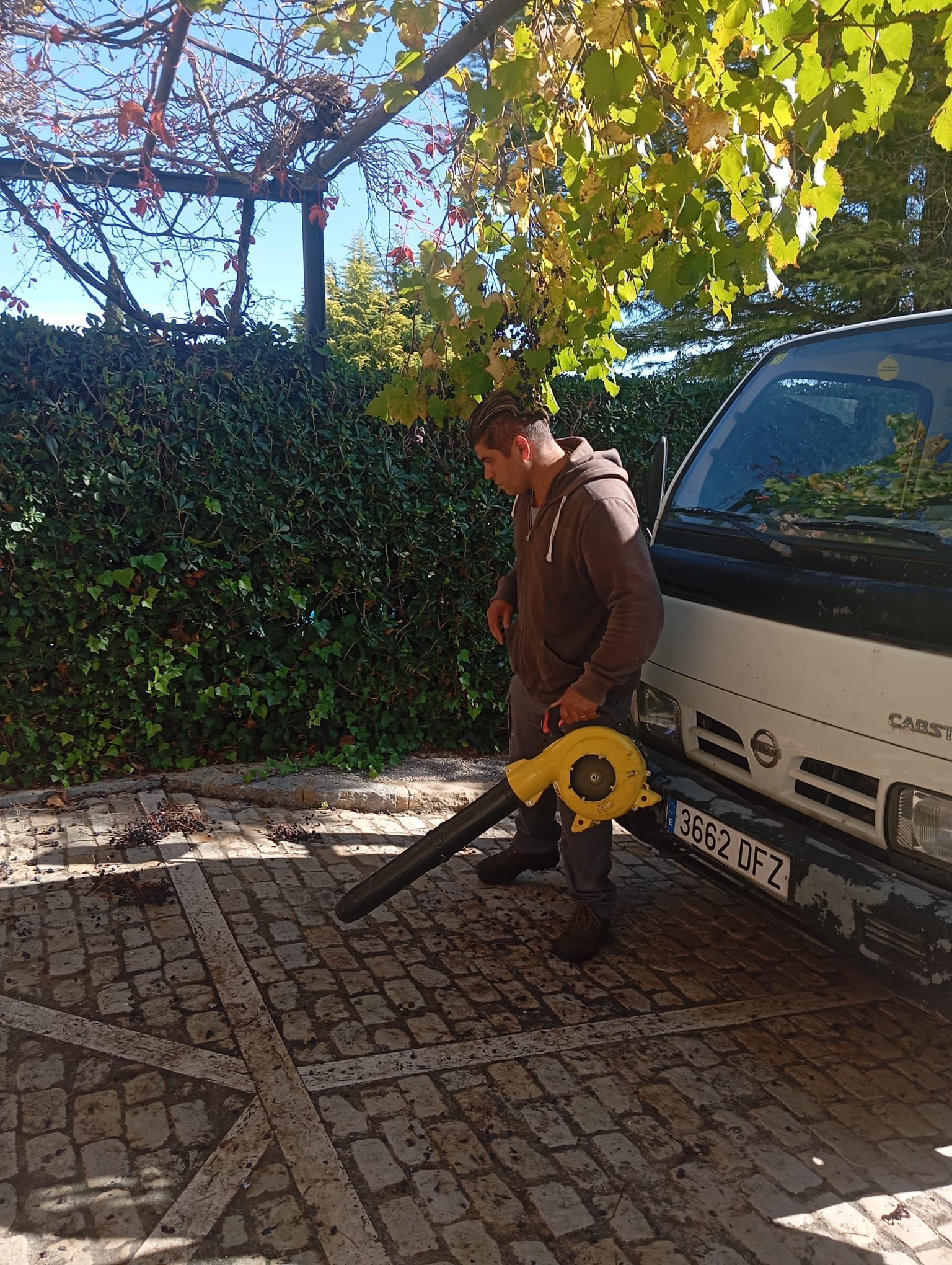 Mantenimiento de jardines