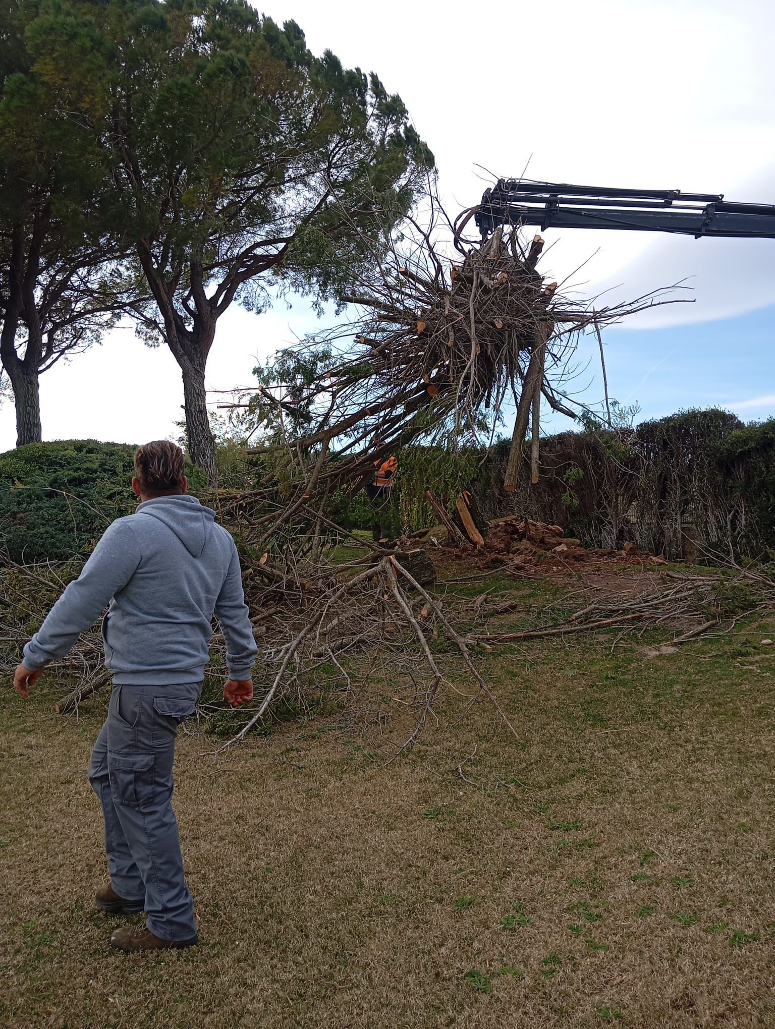 Limpieza y puesta a punto de jardines
