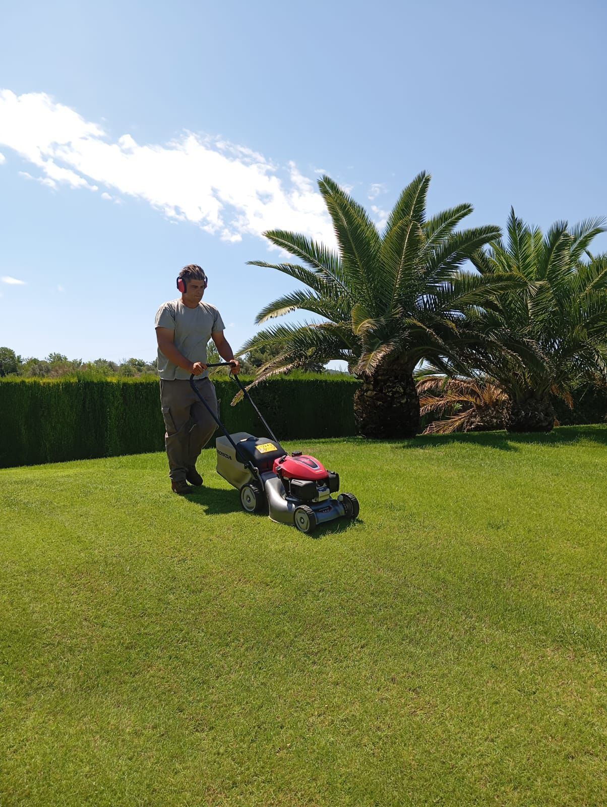 Mantenimiento de jardines