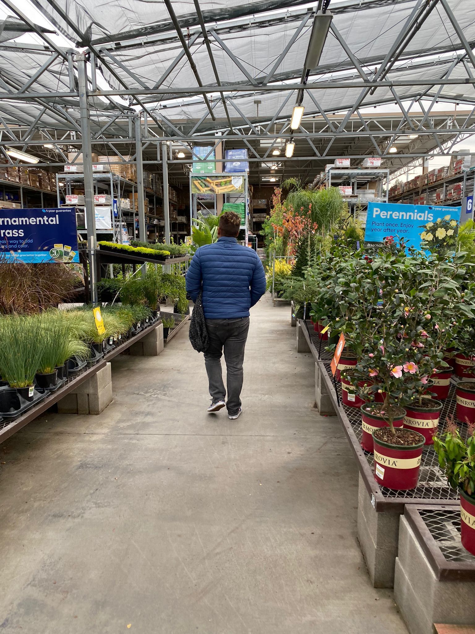 Asesoramiento en jardinería