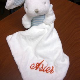 Un animal de peluche con el nombre asiei bordado en él.