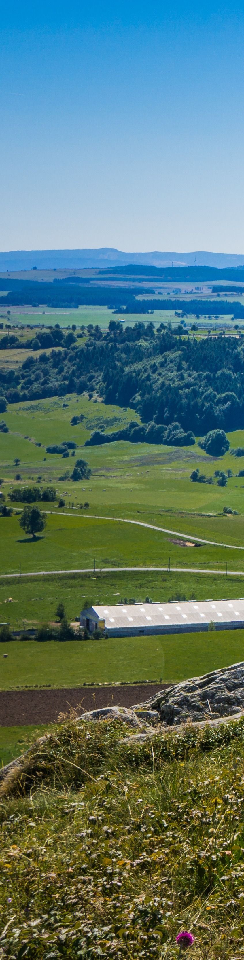 Des collines verdoyantes et des champs vallonnés sous un ciel bleu limpide, avec des montagnes lointaines à l'horizon.