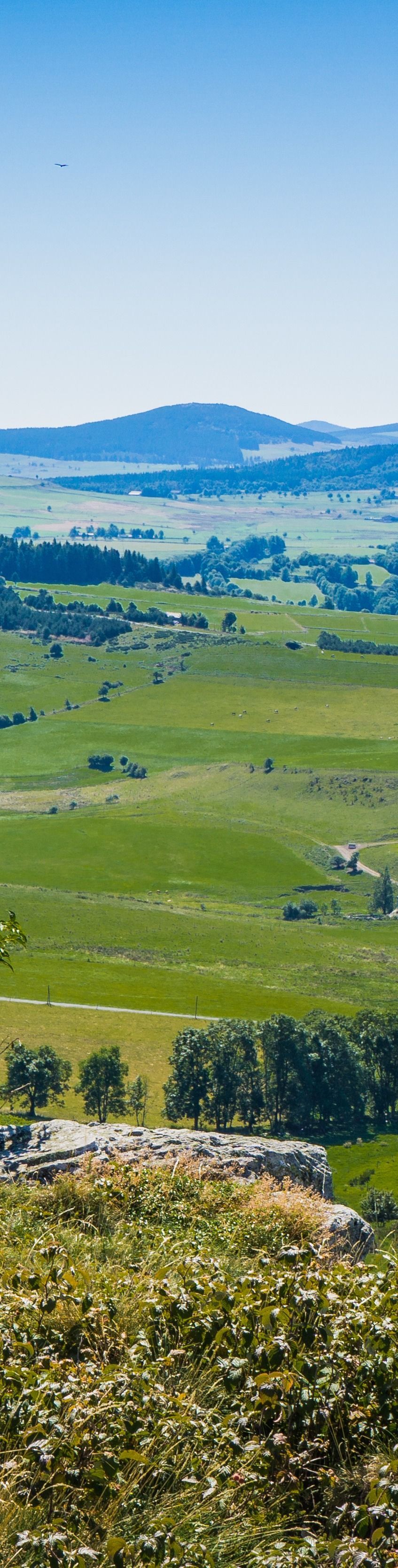 Des terres agricoles verdoyantes et vallonnées avec des collines bleues à l'horizon sous un ciel dégagé