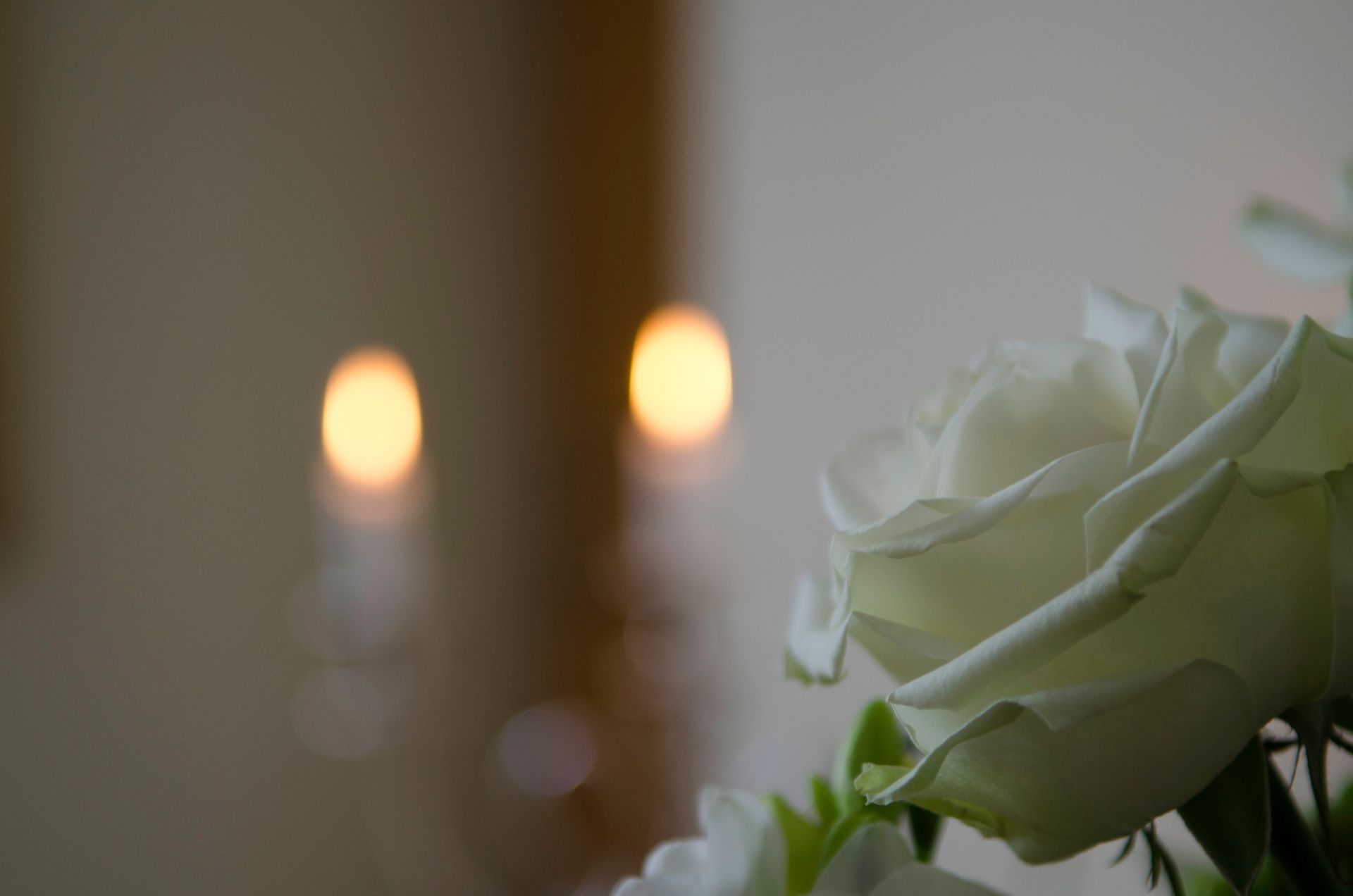 Une rose blanche au premier plan, avec des bougies floues en arrière-plan.