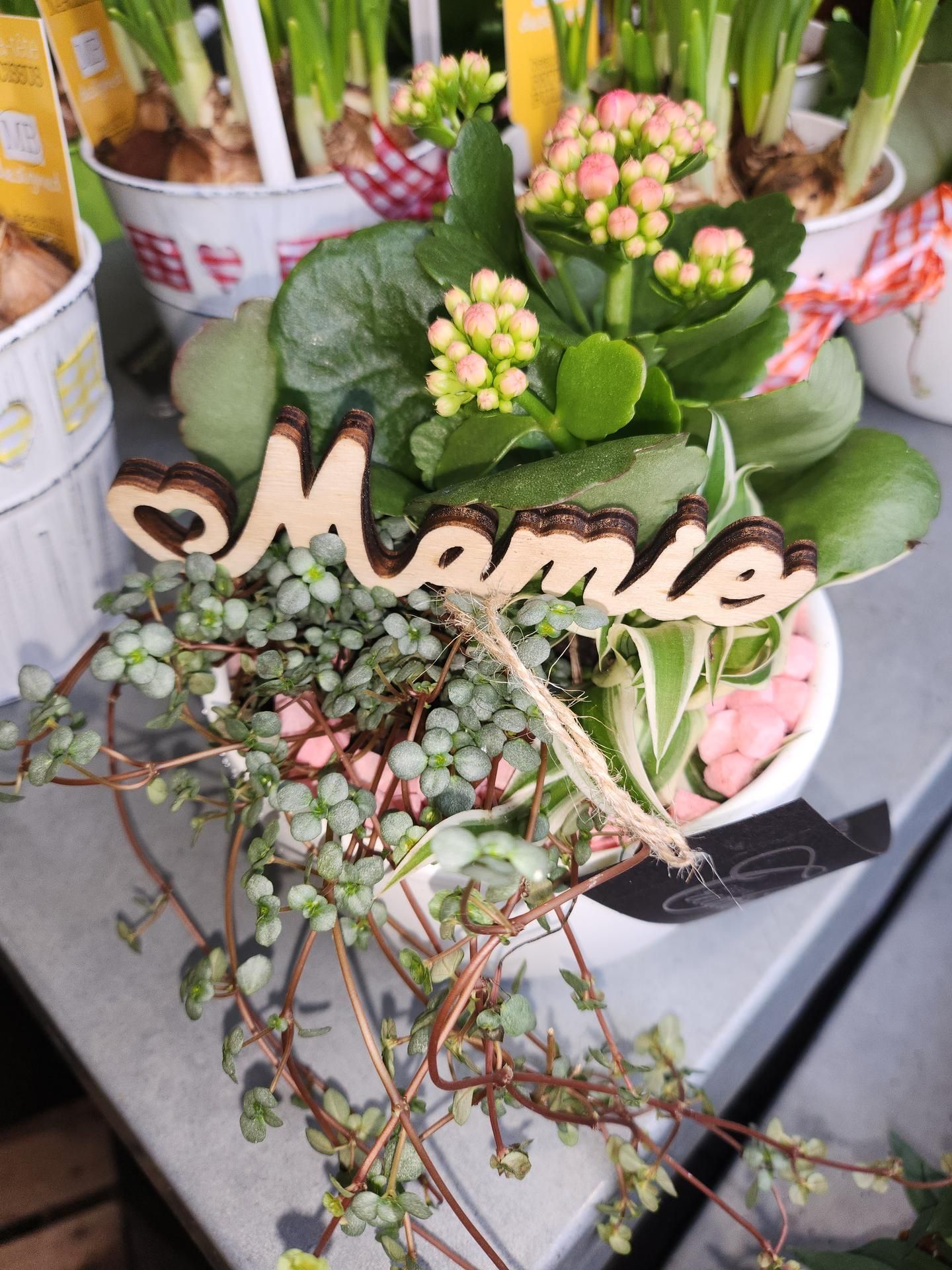 Composition florale dans un pot blanc avec l'inscription Mamie. Plantes vertes, pierres roses et fleurs.
