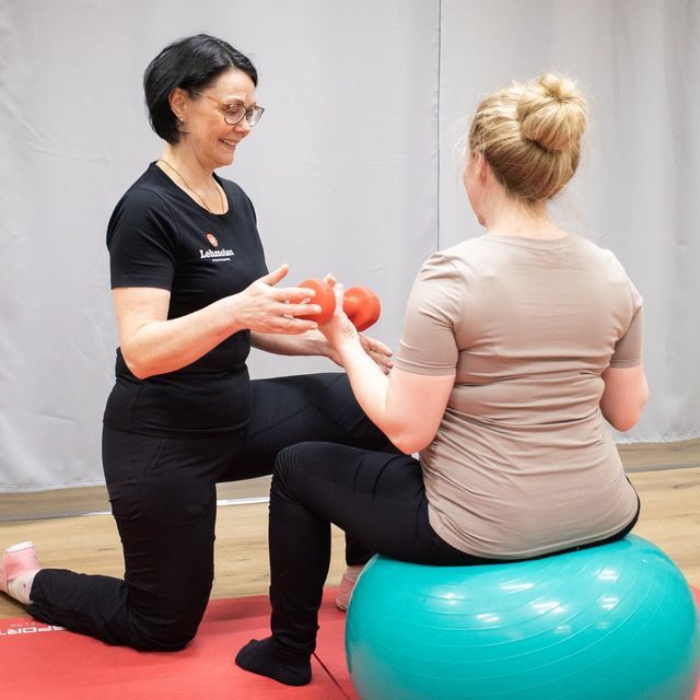 Lehmolan Fysioterapia Oy
