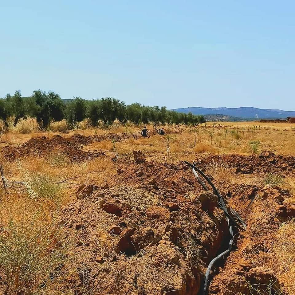Campo seco y pedregoso con una estrecha acequia, árboles verdes a lo lejos y cielo azul.