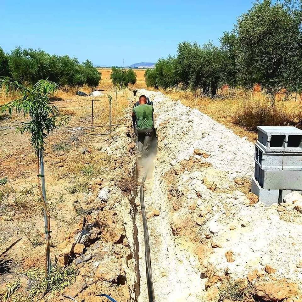 Trabajador en una zanja junto a un campo seco, con una estructura de bloques de hormigón a la derecha y árboles al fondo