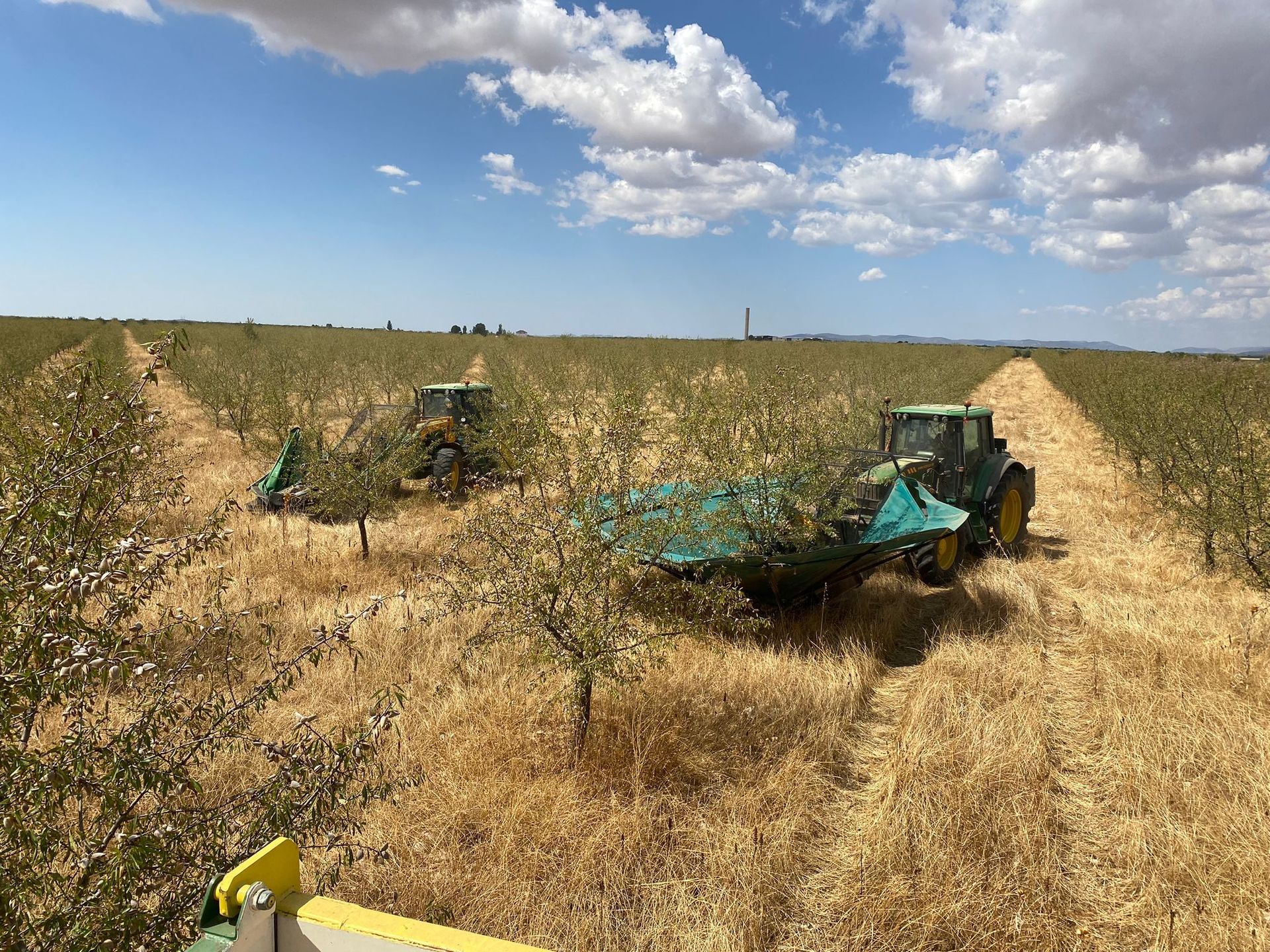 Campo agrícola con dos tractores trabajando entre hileras de cultivos secos bajo un cielo azul y nublado