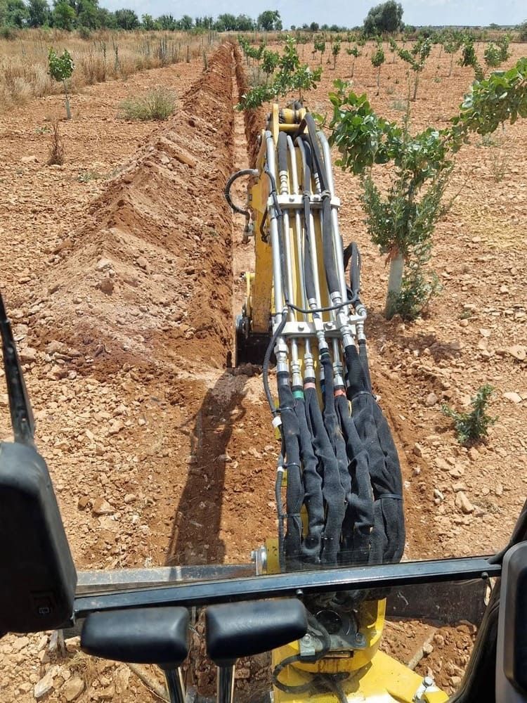 El brazo de una excavadora abre una zanja en un campo seco de plantas jóvenes, visto desde la cabina.
