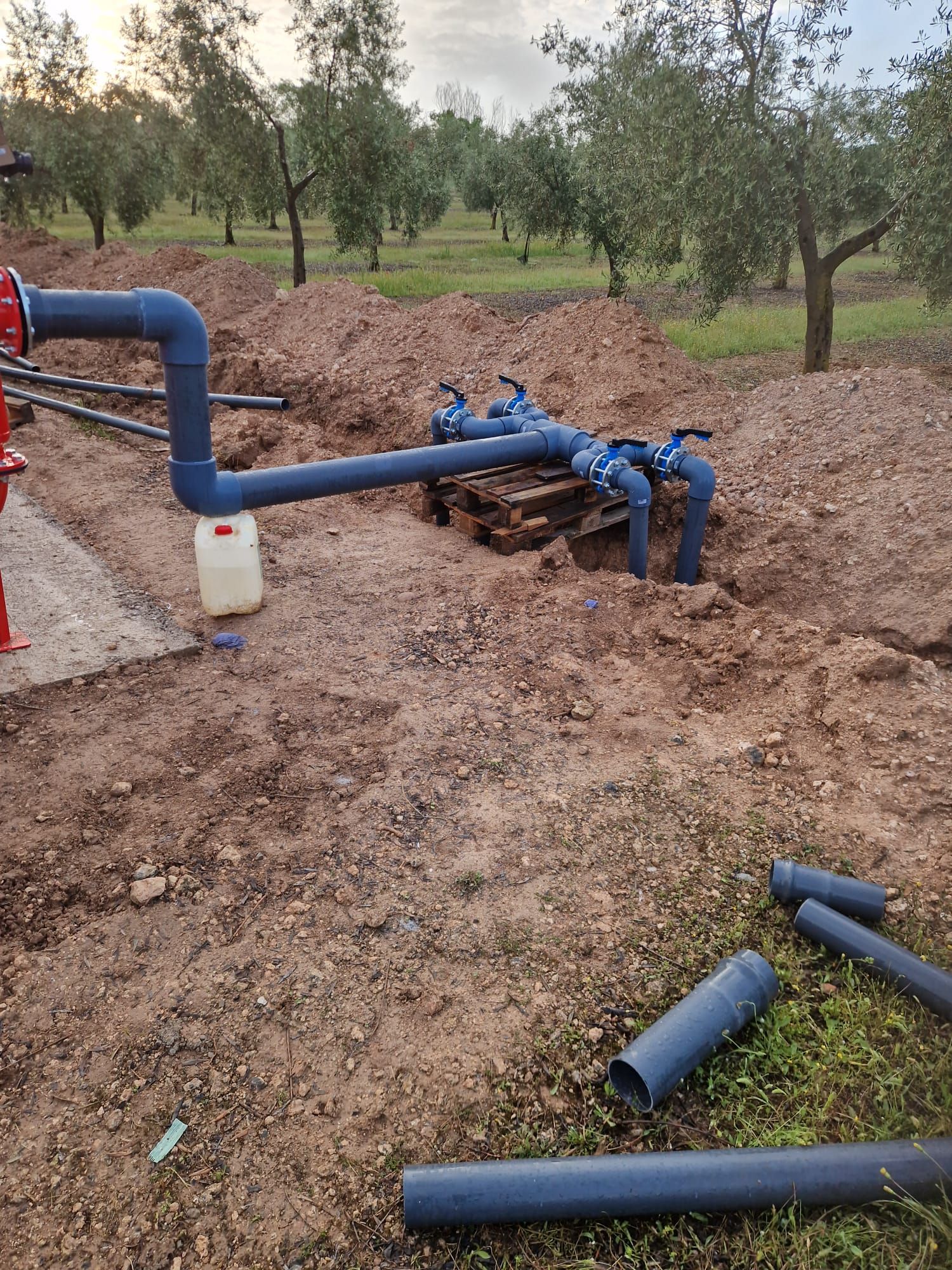 Tuberías de riego azules en una zanja embarrada de un huerto, con tramos de tubería desconectados en el suelo