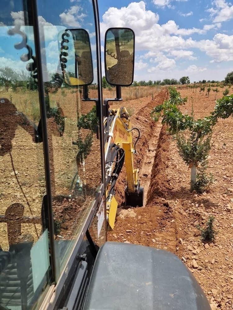 Una excavadora abre una zanja estrecha en un campo de tierra roja con cultivos jóvenes bajo un cielo nublado