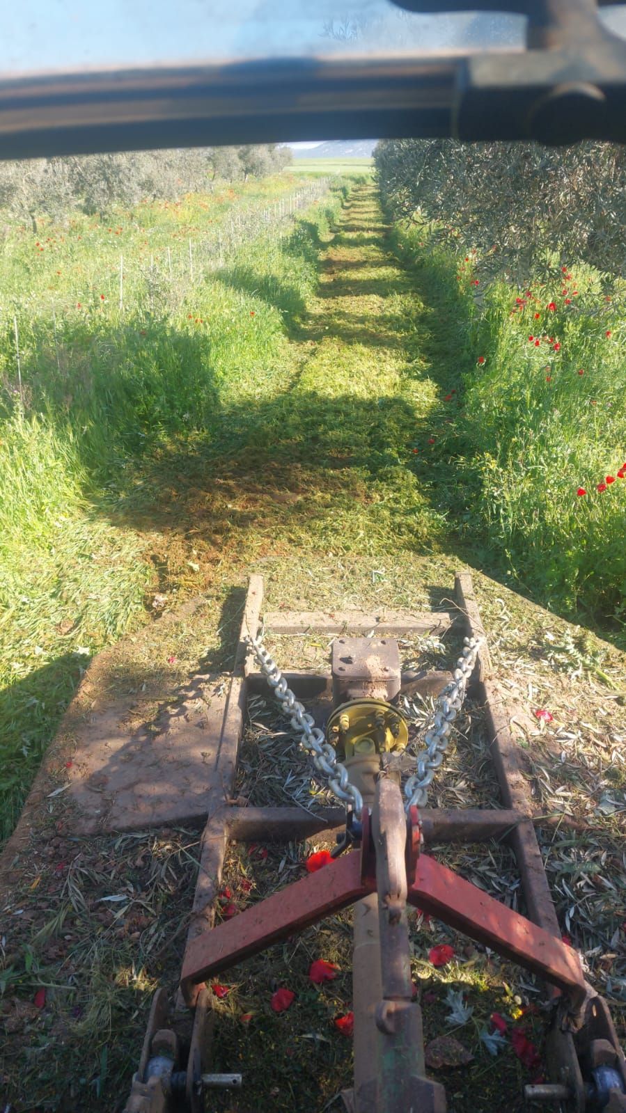 Vista desde una máquina agrícola que avanza por un camino de hierba, con el apero delantero rojo a la vista.