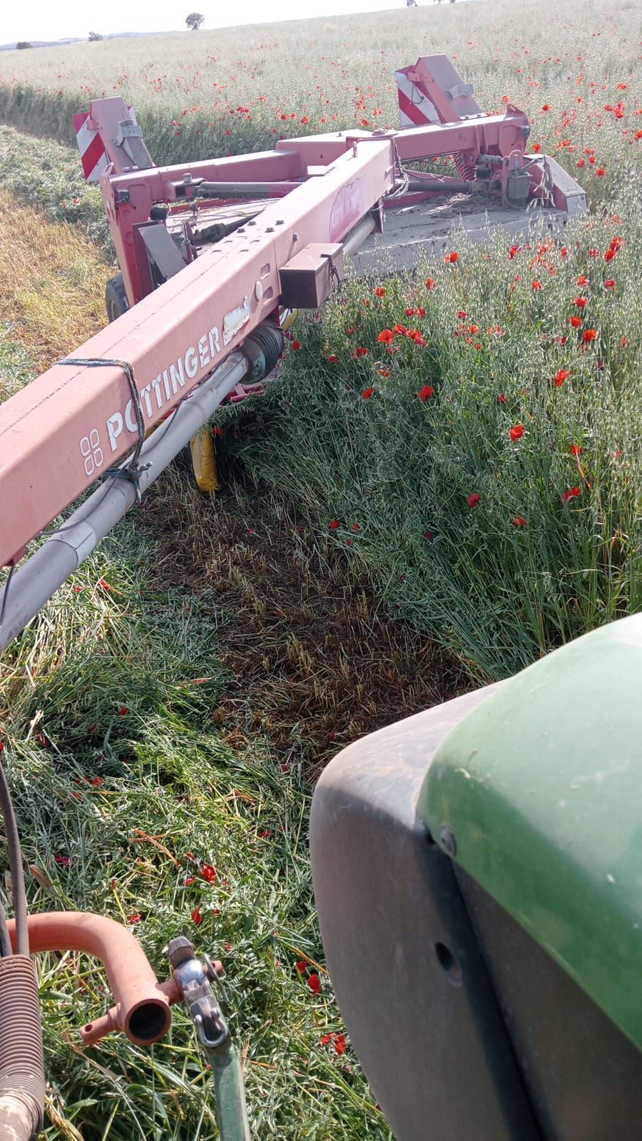 Maquinaria agrícola avanzando entre cultivos altos y verdes con flores rojas bajo un cielo nublado