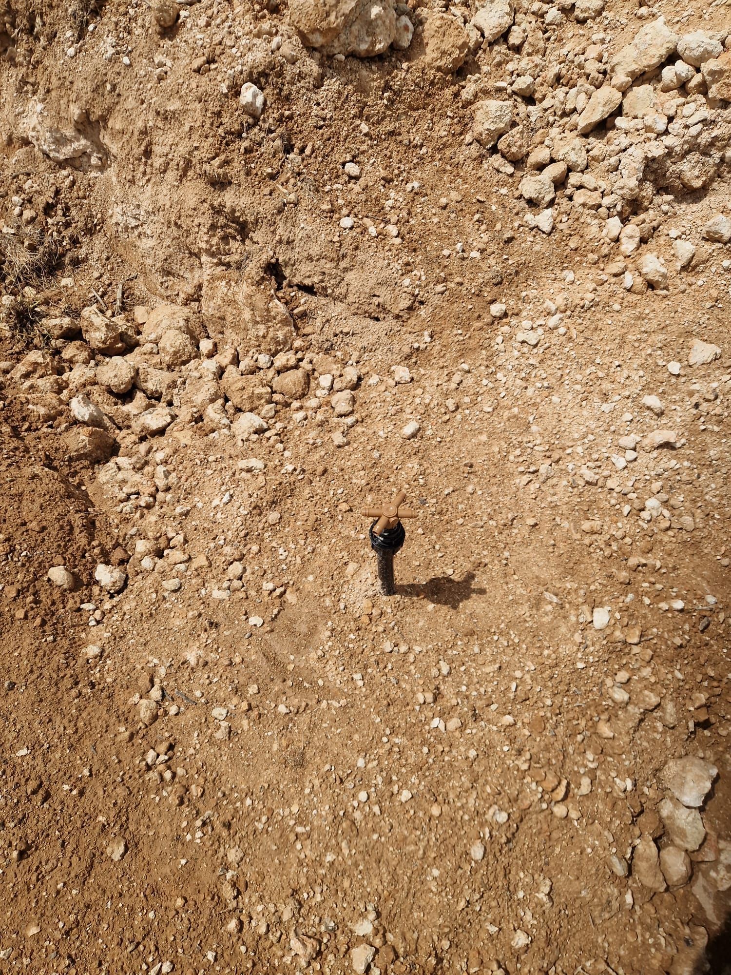 Pequeño objeto negro que sobresale de un terreno rocoso y árido, en el centro de la imagen.