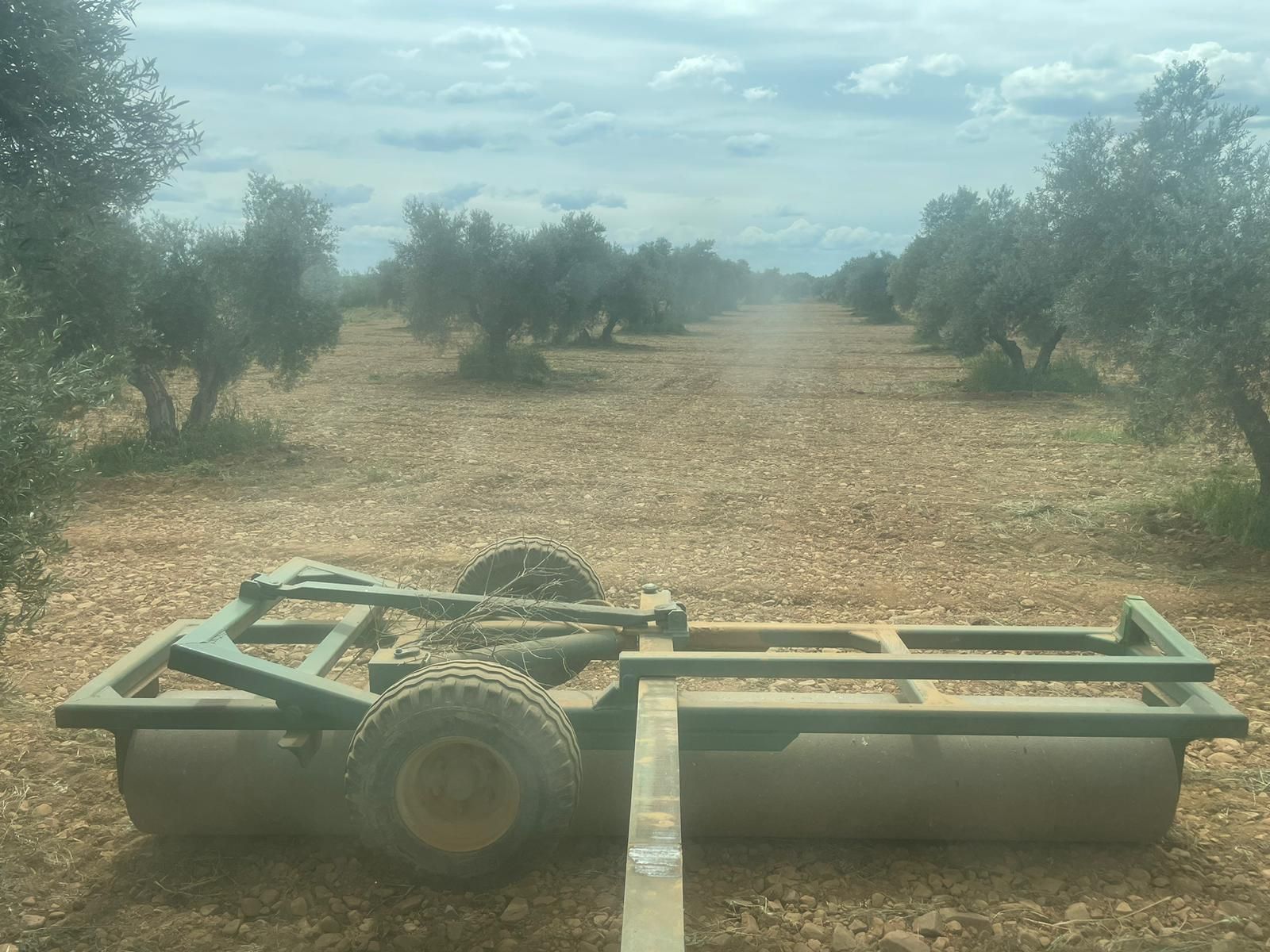 Amplio campo agrícola con una máquina agrícola azul en primer plano y árboles al fondo