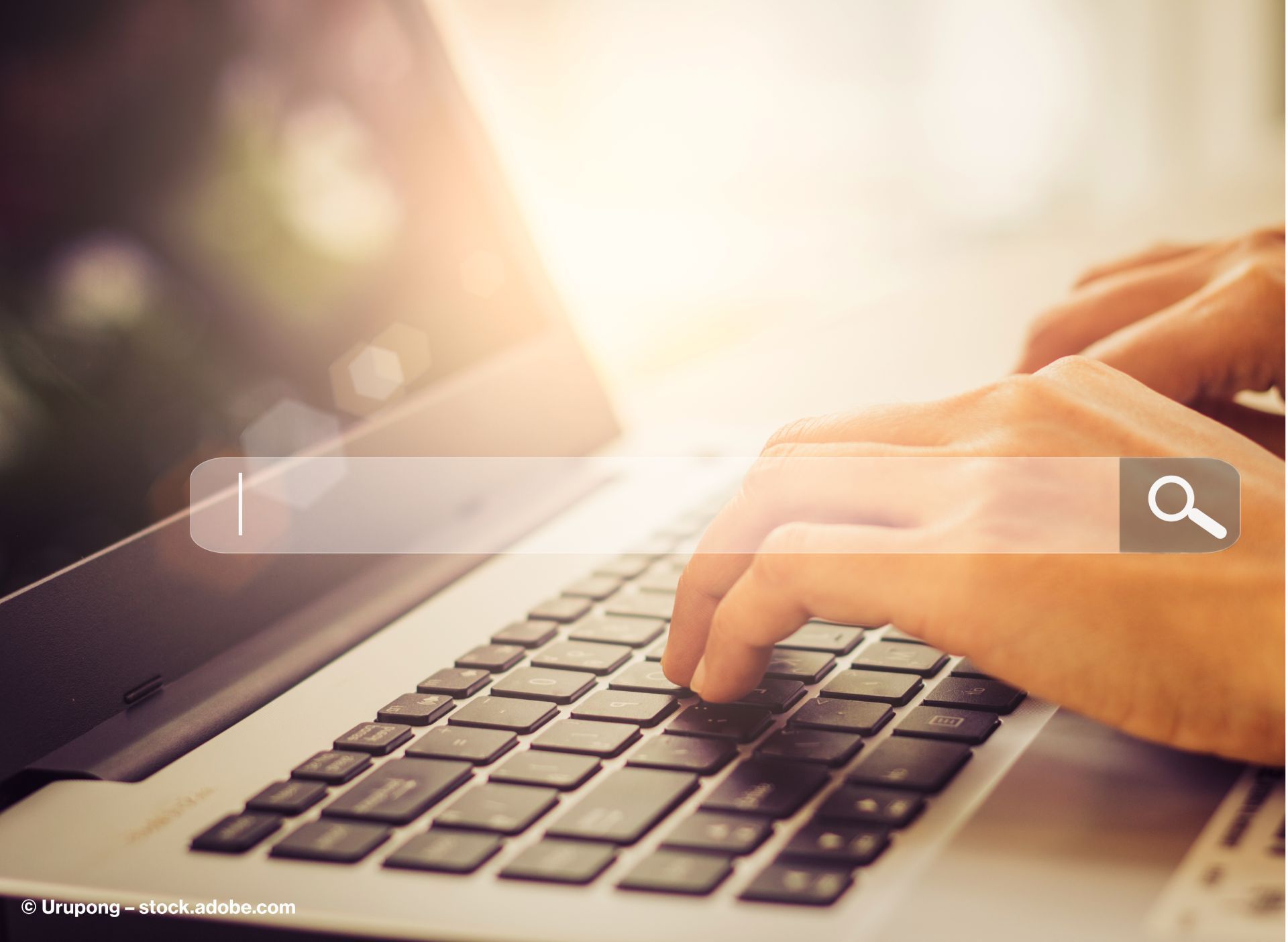 Internetdienstleistungen Suche Internetdienstleistungen Suche