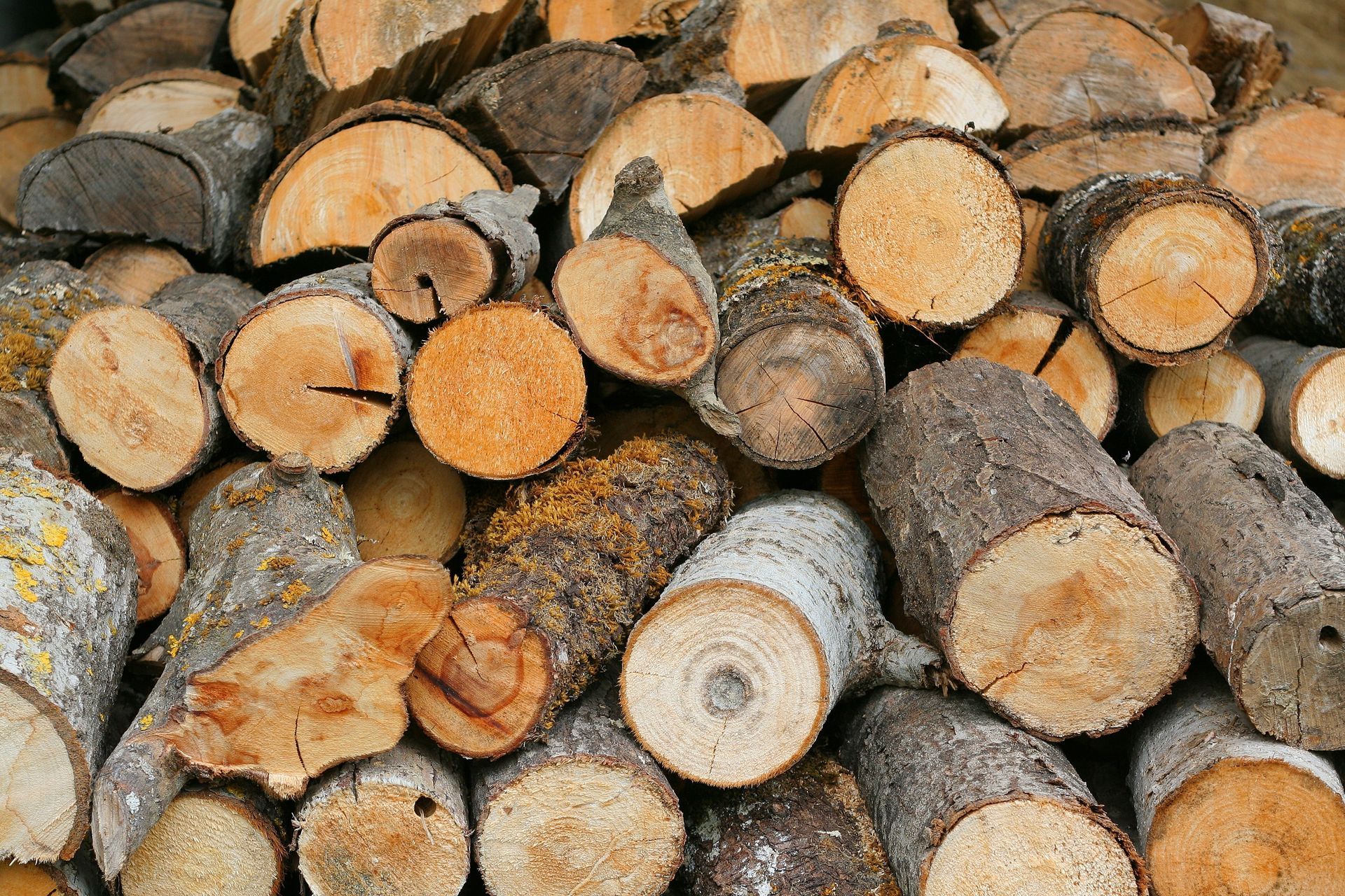Pile de bûches de bois de chauffage coupées et empilées serrées les unes contre les autres