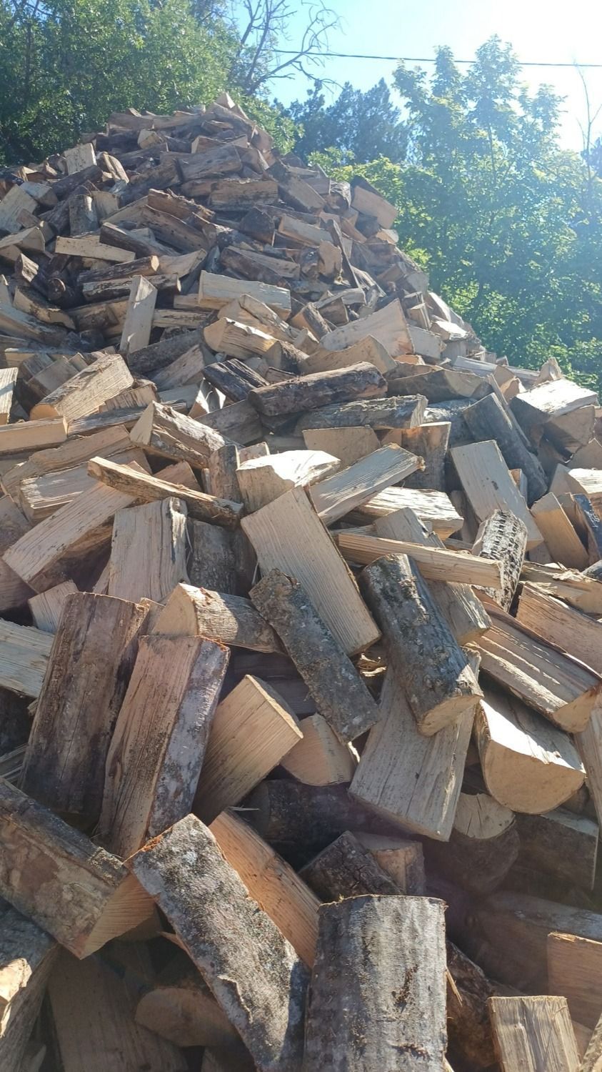 Gros tas de bûches de bois de chauffage coupées, empilées à l'extérieur, près d'arbres verts au soleil.