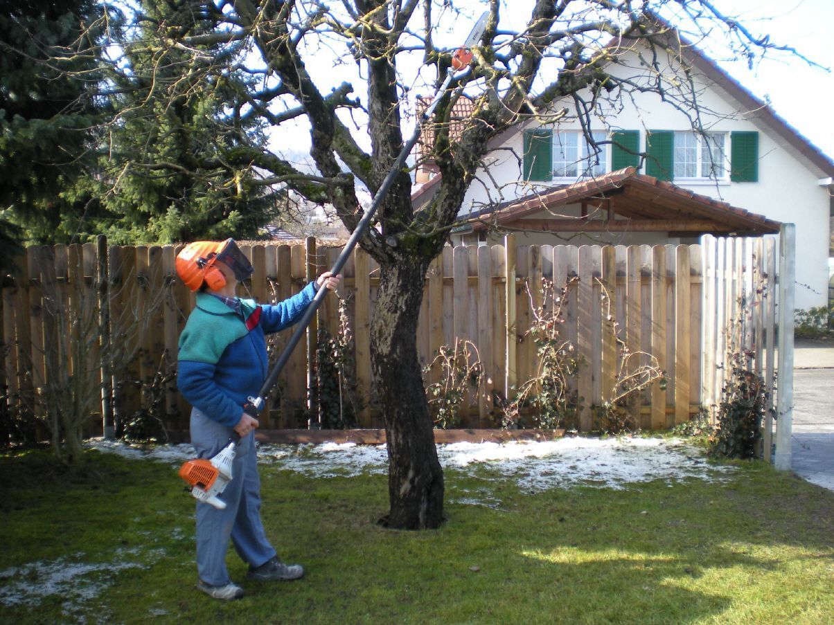 Kettensäge Hochentaster - New Home Gerätevermietung Seon