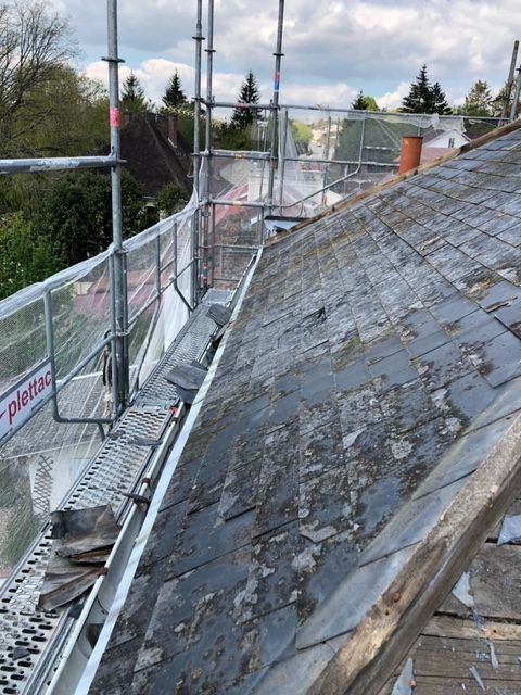 Toiture pleine de mousse