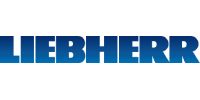 Logo Liebherr en texte dégradé bleu.