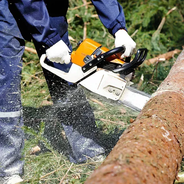 Una persona está cortando un tronco con una motosierra.