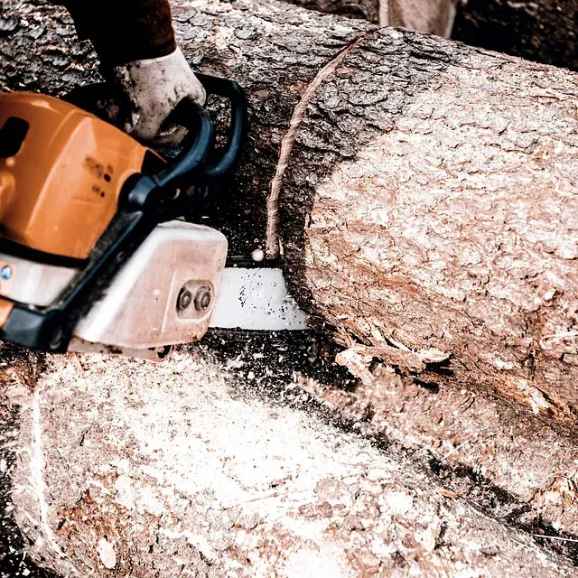 Una persona está usando una motosierra para cortar un tronco grande.