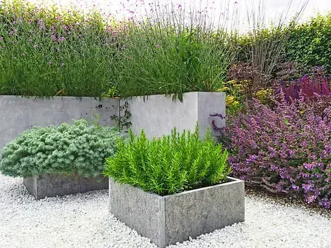 Un jardín lleno de muchas plantas y flores.