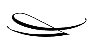 Un dibujo en blanco y negro de un remolino sobre un fondo blanco.