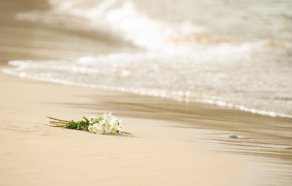 Weiße Blüten liegen auf nassem Sand, im Hintergrund plätschern die Wellen.