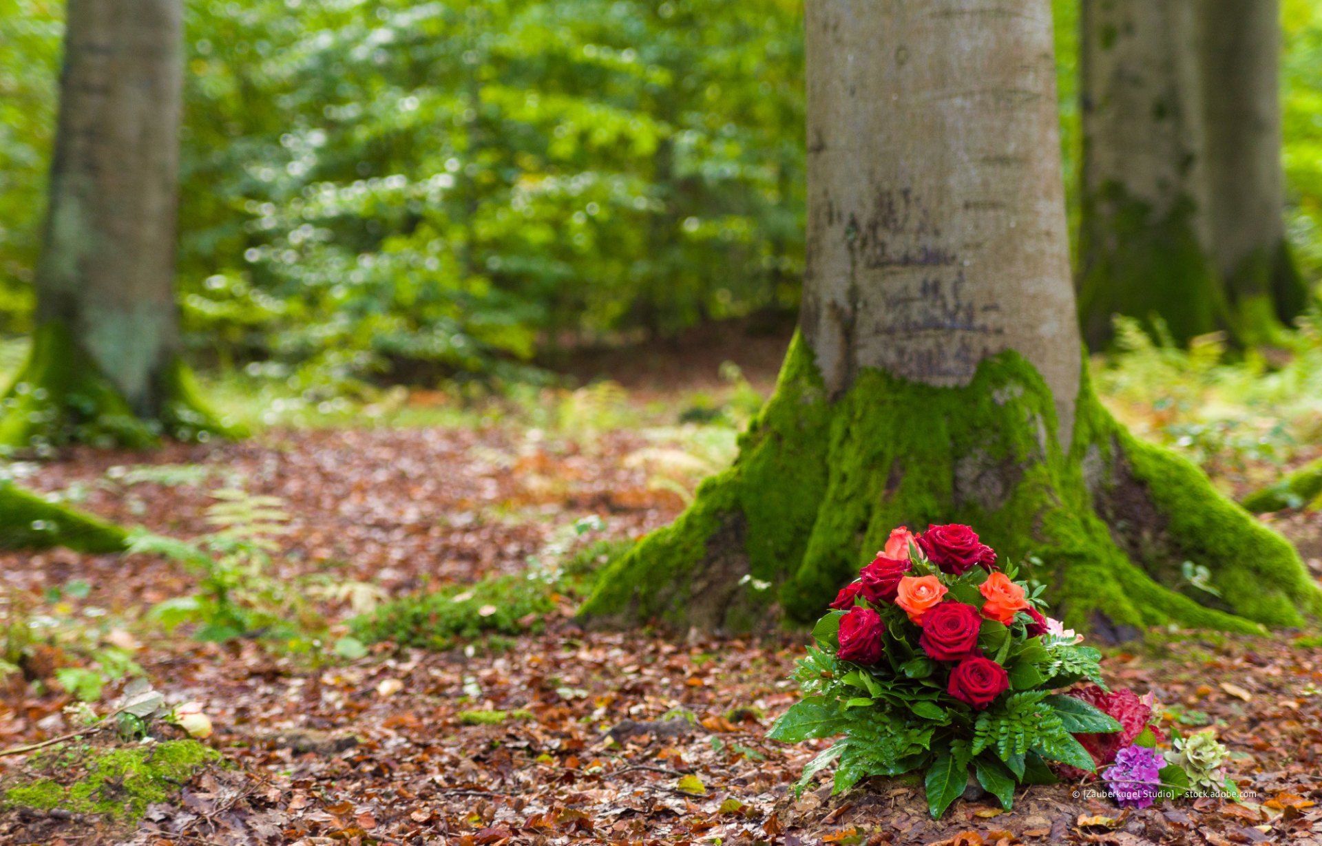 Ein Strauß roter und orangefarbener Rosen am Fuße eines Baumes im Wald.