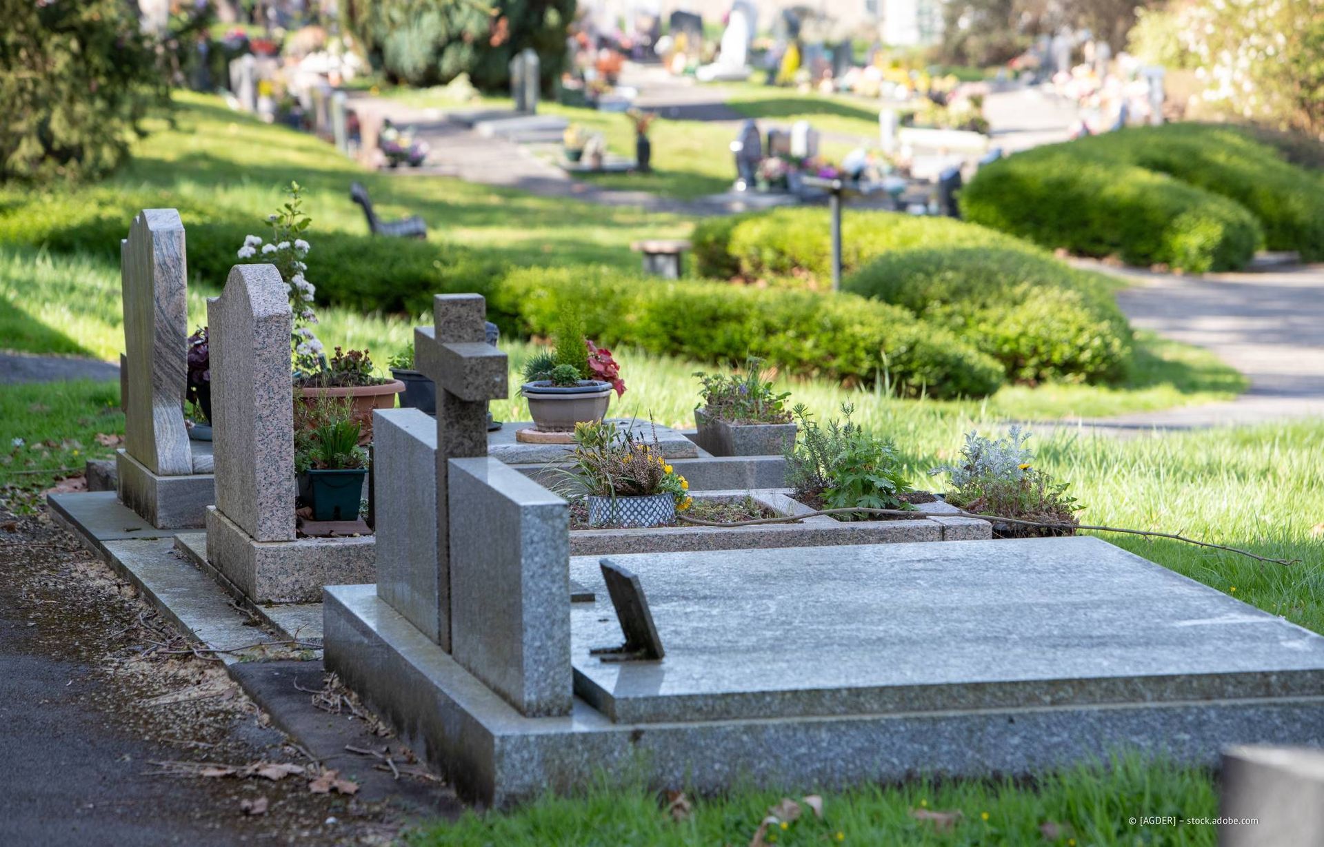 Friedhof mit mehreren Grabsteinen und grünem Gras, im Sonnenlicht.