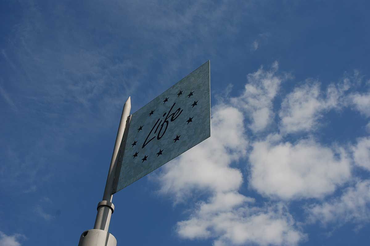 Aussichtsturm in den Marstallwiesen der Gemeinde Storkow