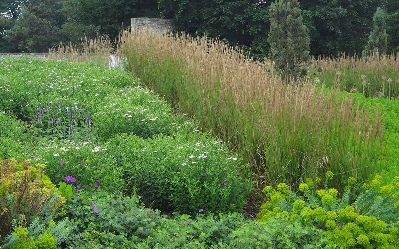 Innenstadteingang Geschwister-Scholl-Straße