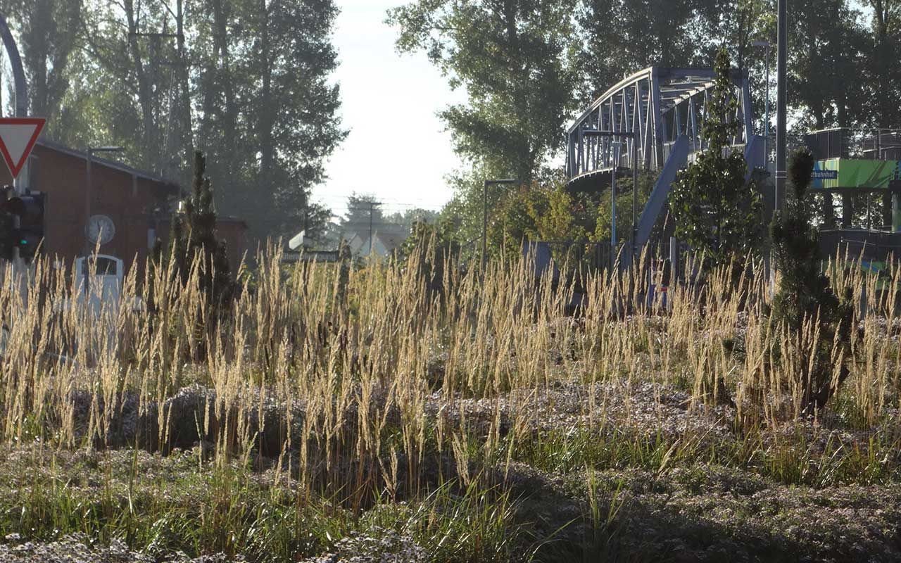 Innenstadteingang Geschwister-Scholl-Straße