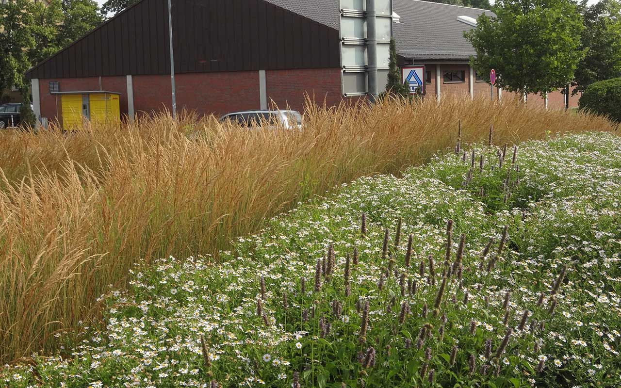 Innenstadteingang Geschwister-Scholl-Straße