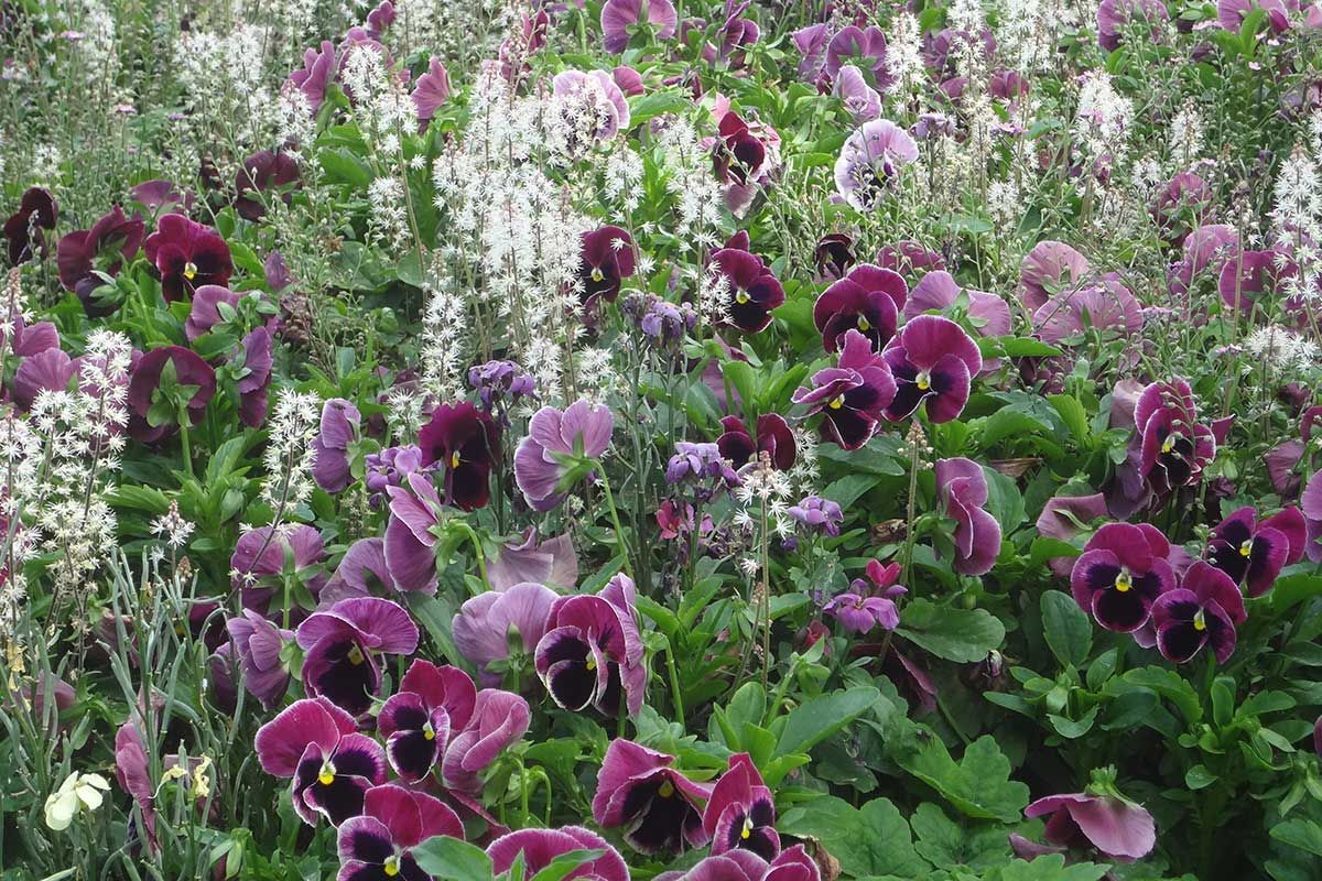 Landesgartenschau Bad Iburg 2018