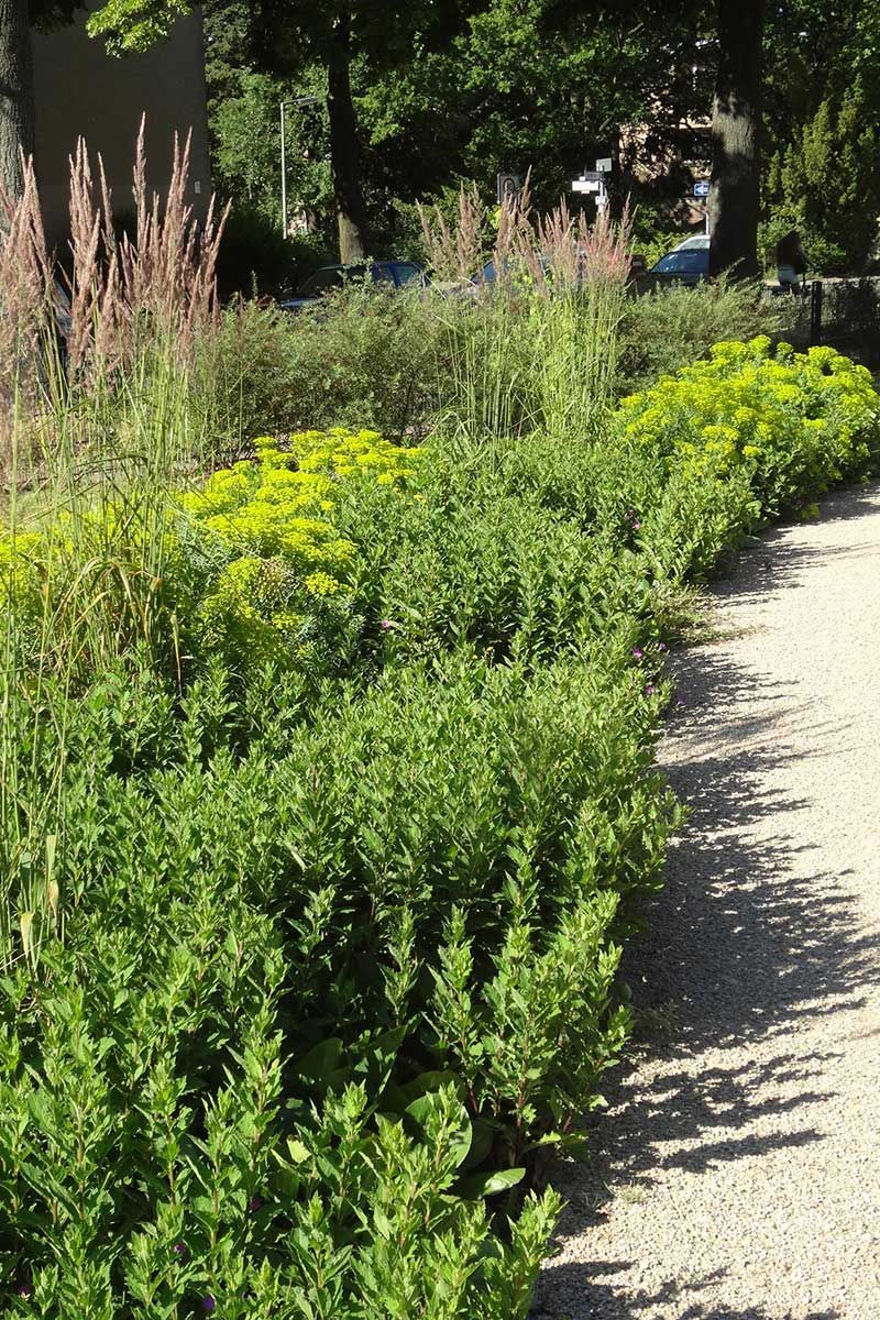 Außenanlagen der Evangelischen Paul-Schneider-Kirchengemeinde, Belßstraße 88 in Berlin-Lankwitz
