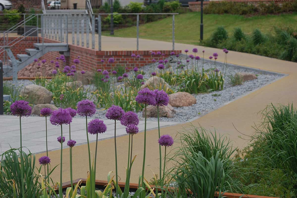 Freizeitanlage Hammerstrasse, Gestaltung Uferpark und Lückenschluss Uferweg in Brandenburg an der Havel 