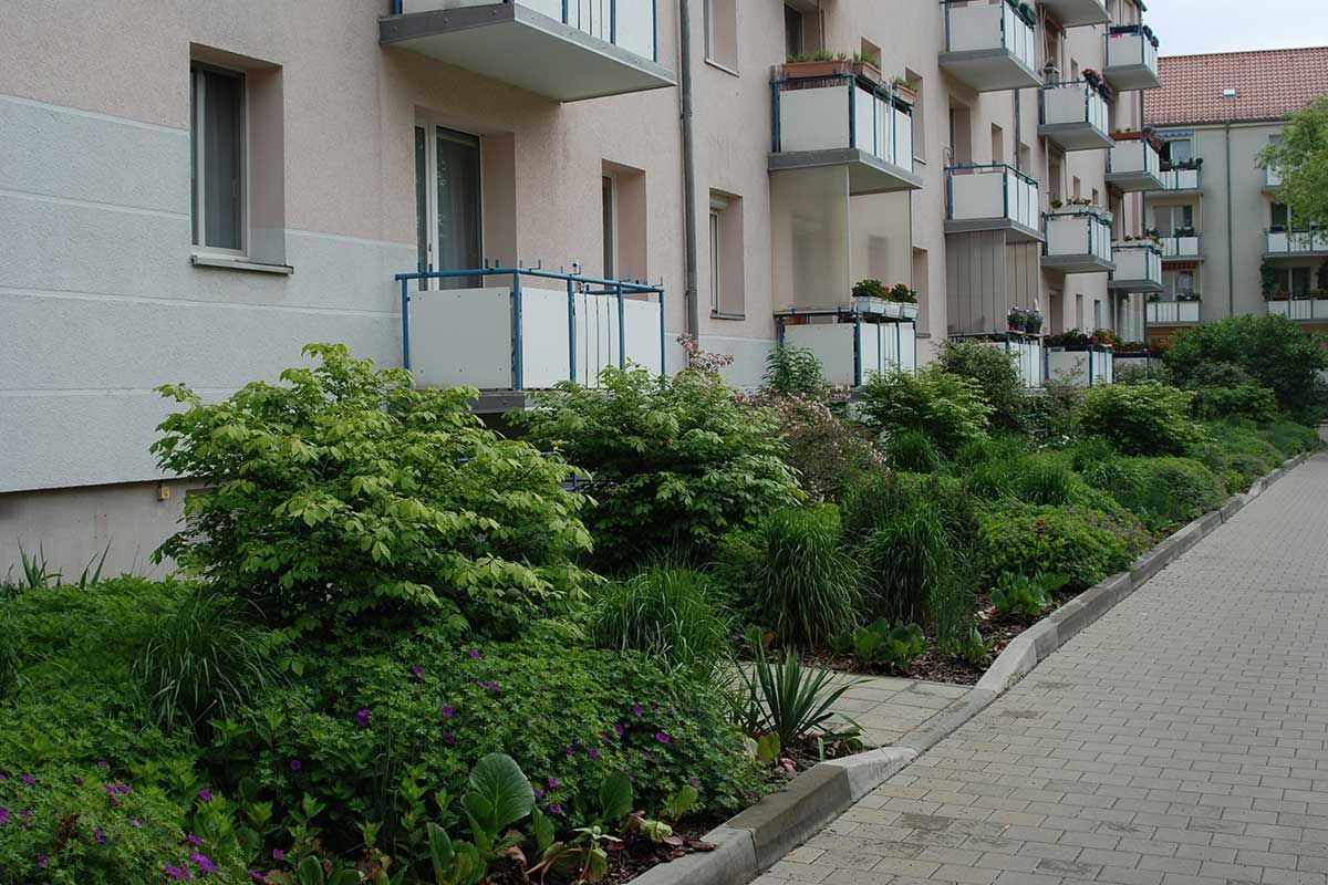 Wohnumfeldgestaltung Käthe-Kollwitzstraße 44 in Potsdam