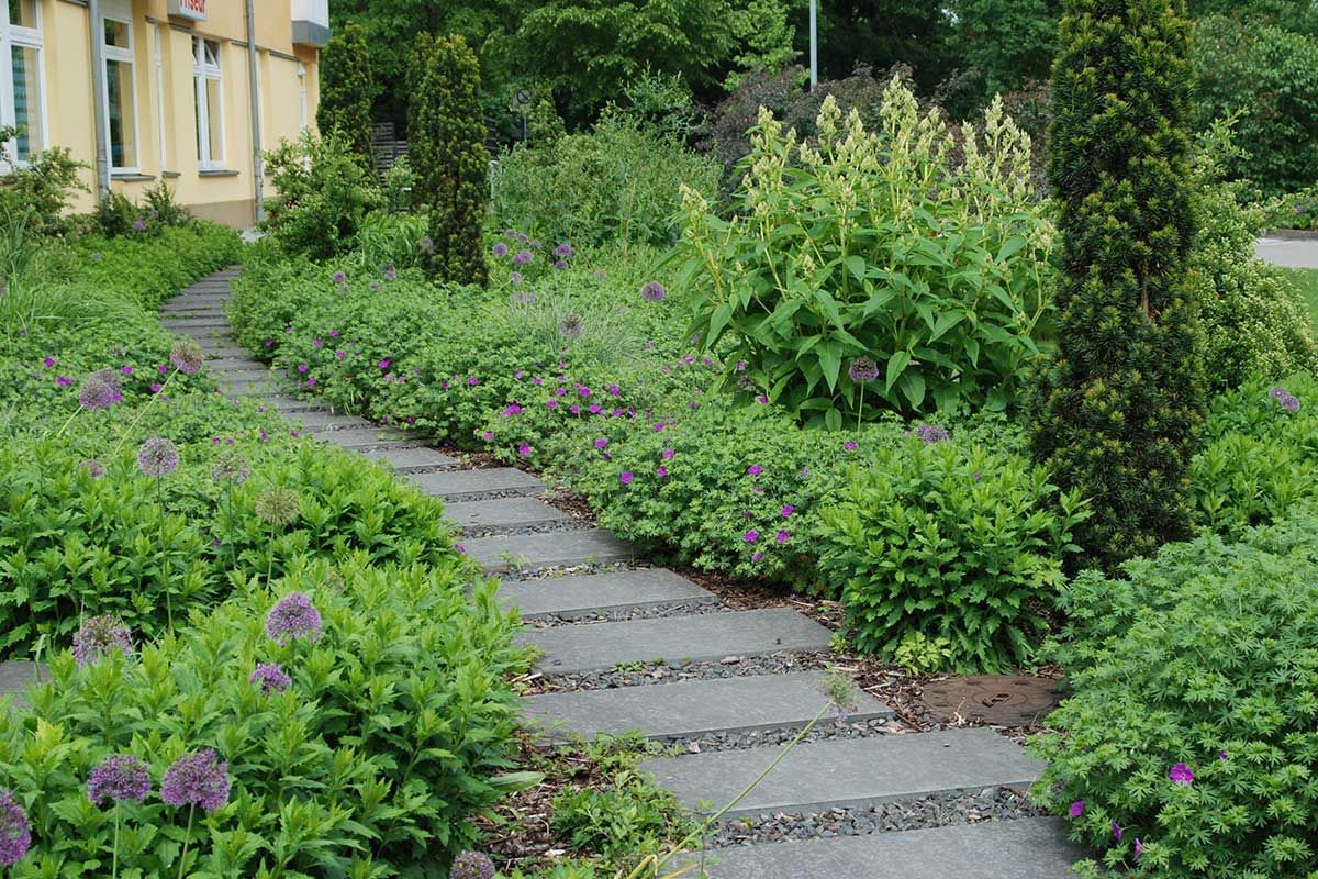 Wohnumfeldgestaltung Käthe-Kollwitzstraße 44 in Potsdam