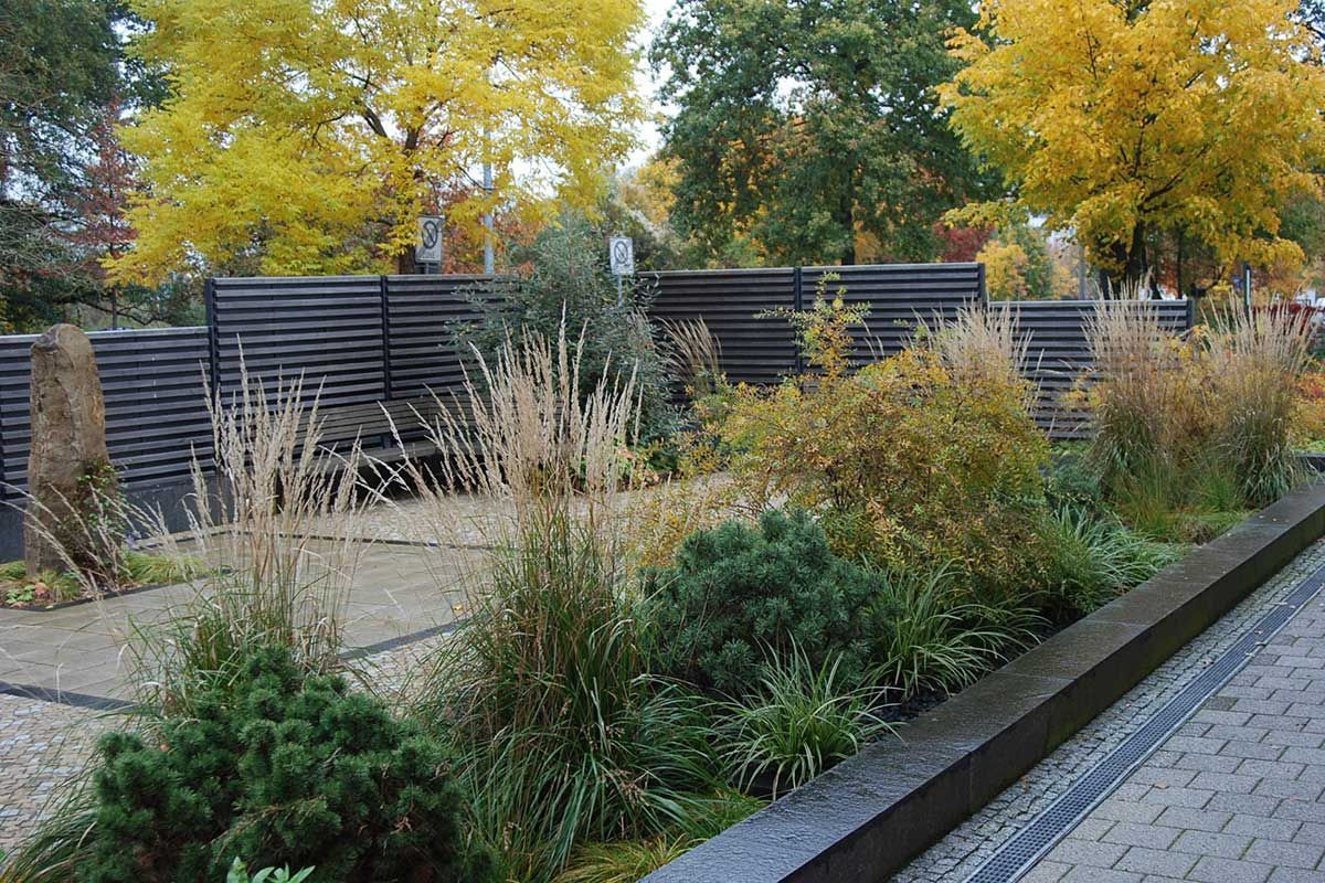 Wohnumfeldgestaltung Käthe-Kollwitzstraße 44 in Potsdam