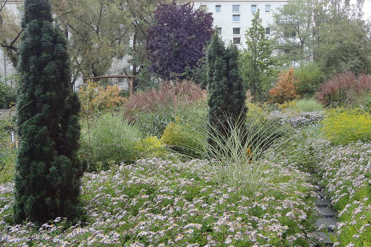 Wohnumfeldgestaltung Käthe-Kollwitzstraße 44 in Potsdam