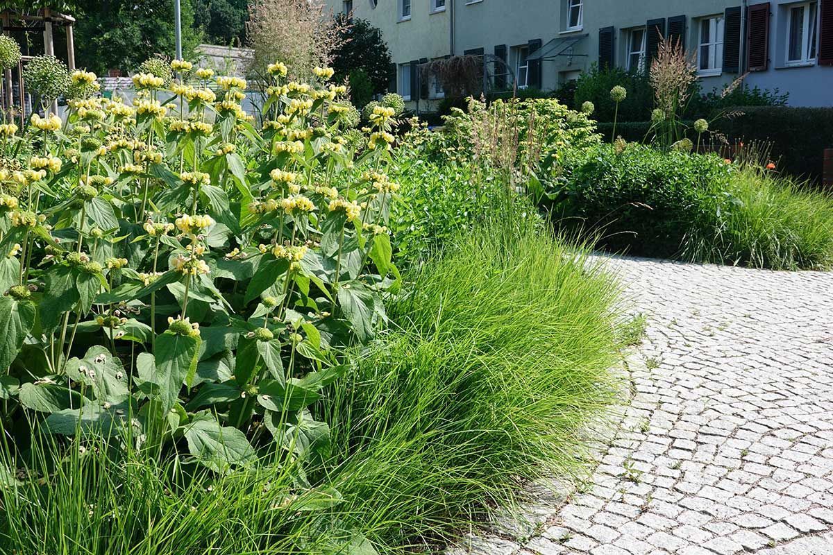 BUGA-Eingang Blumenstraße in Erfurt