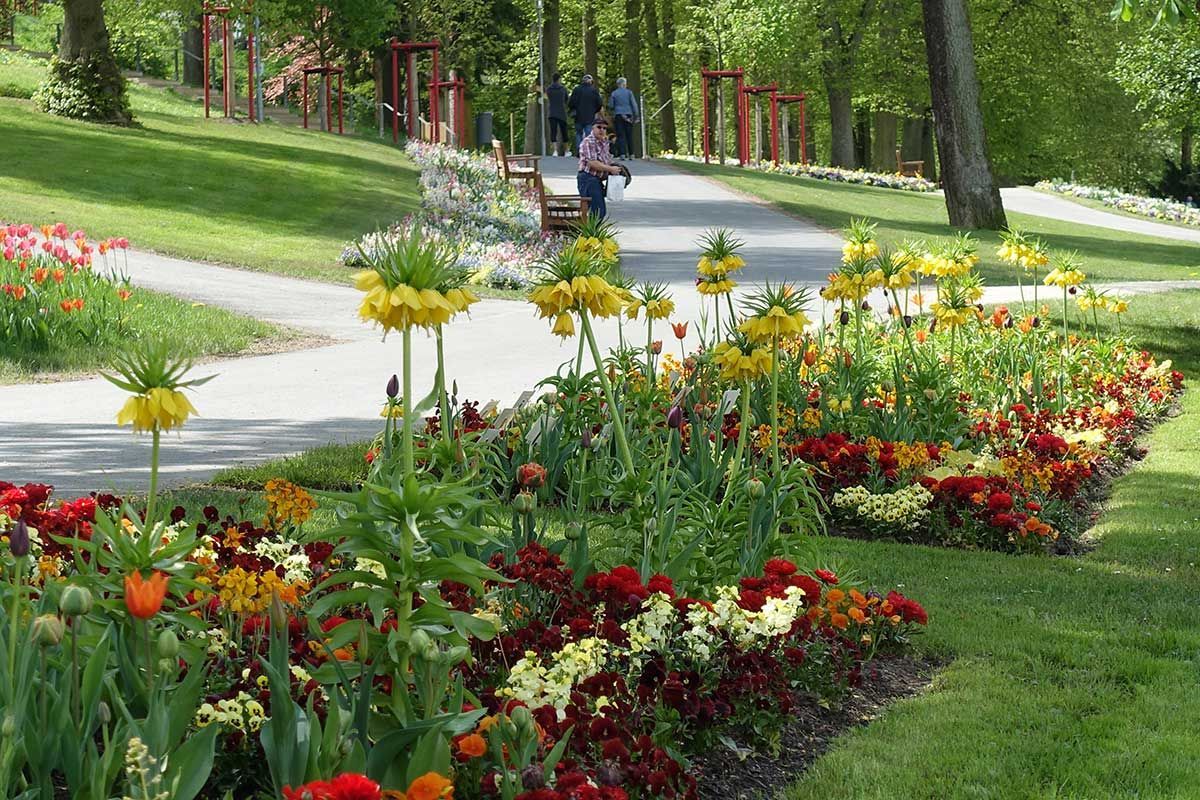 Pflanzplanung Wechselflor auf der Hessischen Landesgartenschau Bad Schwalbach 2018