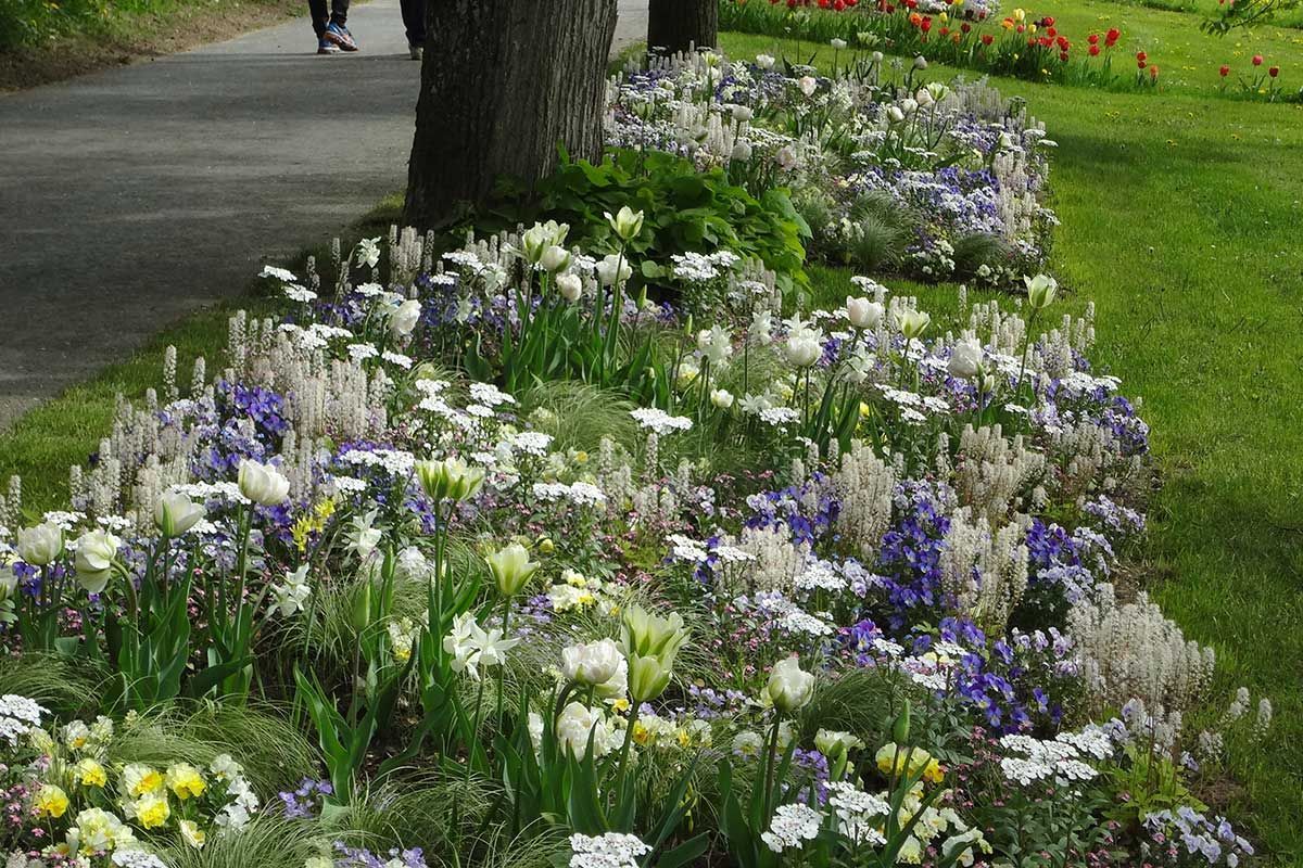 Landesgartenschau Bad Schwalbach 2018