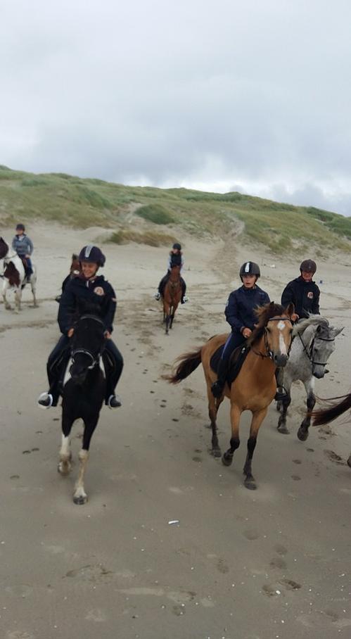 Sortie équitation au bord de la plage