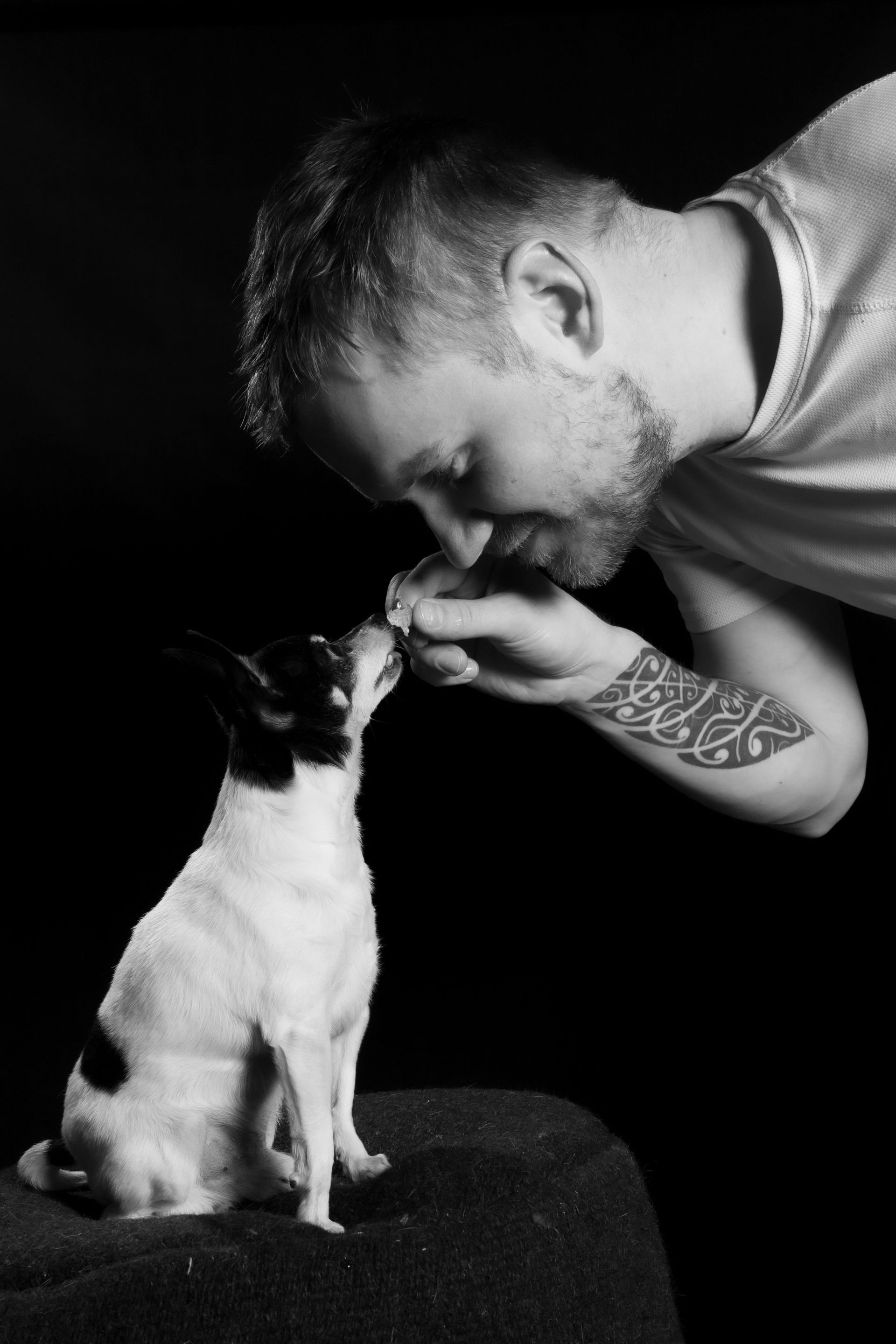 lemmikinkanssa valokuvaus